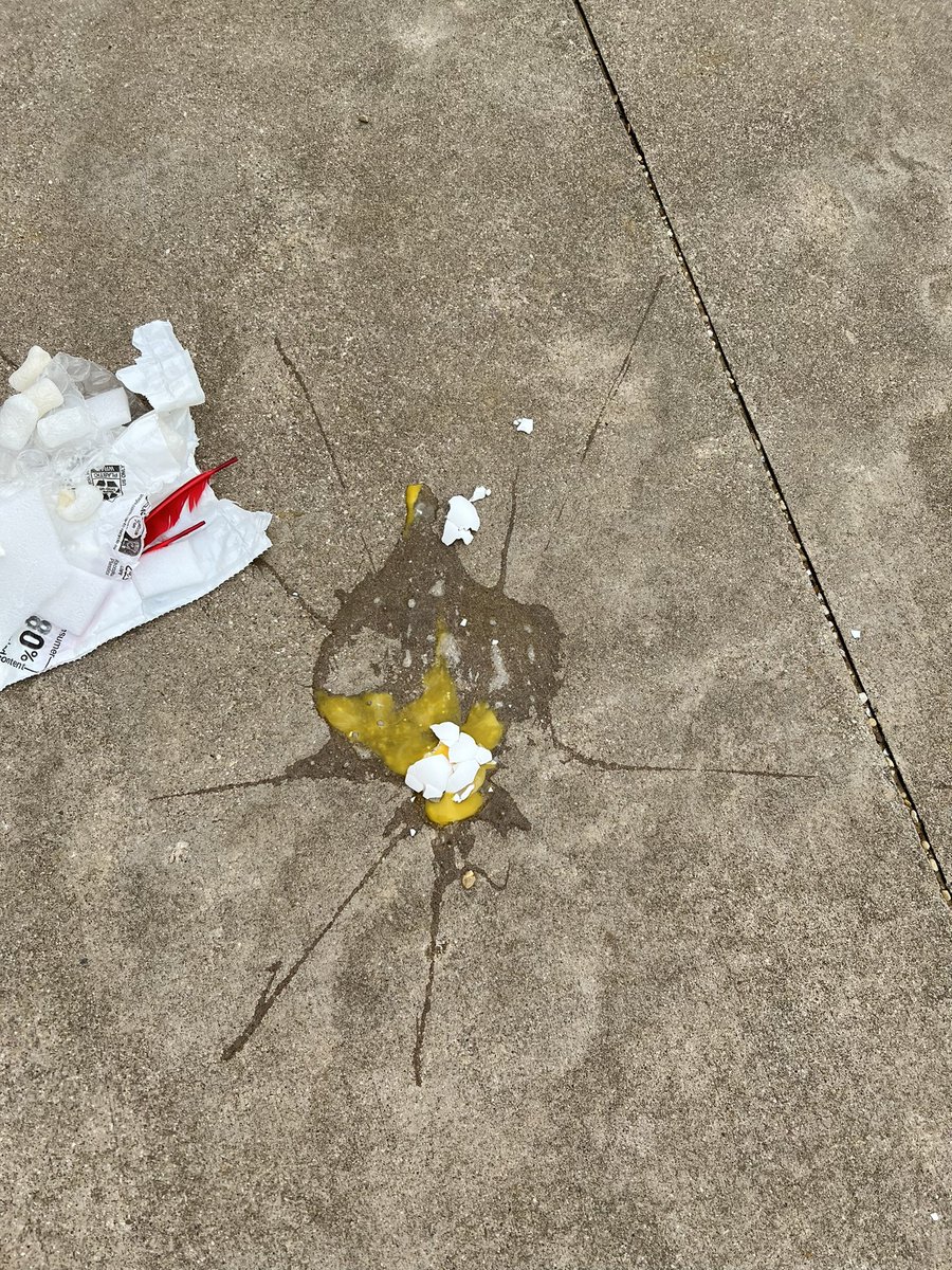 WeirClass's tweet image. We had a lot of fun with our Egg Drop on Friday. The students made some very interesting contraptions!! A few made it but some broke. 😜
#eggdrops