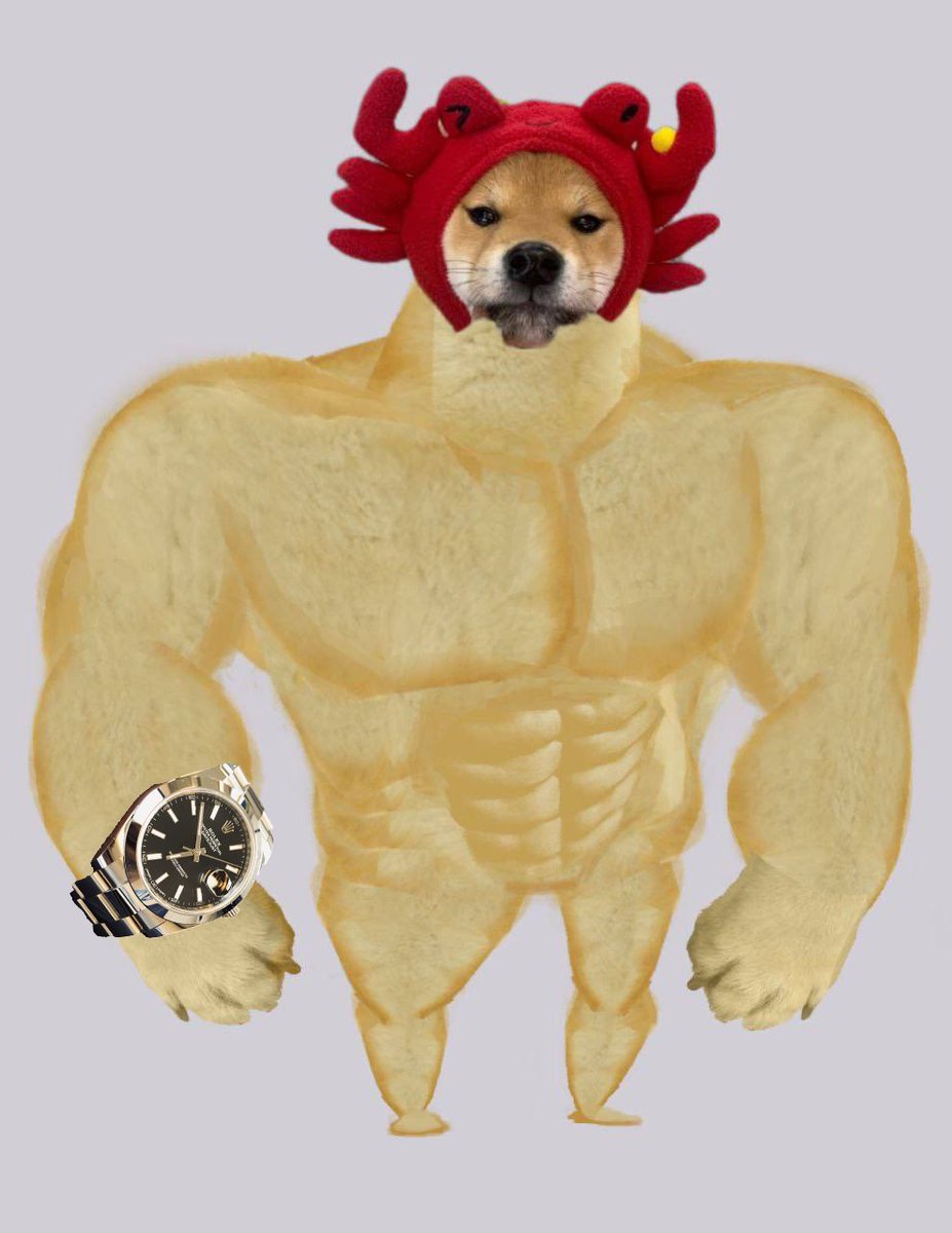 wen $CAN met $ROLEX