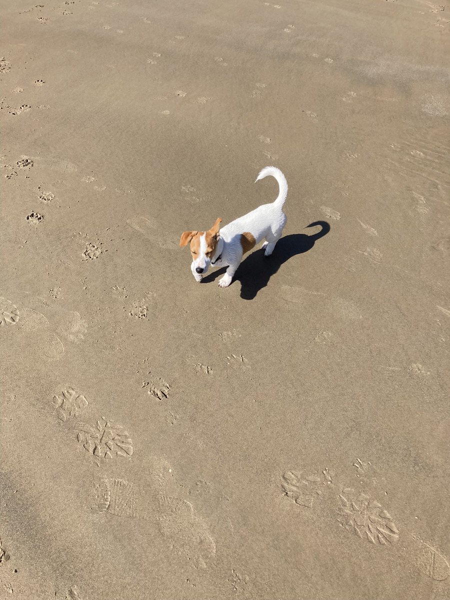 jane ashman-wells tweet media