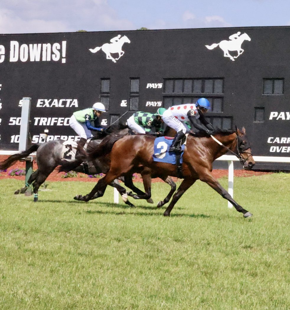 TampaBayDownsFL's tweet photo. Crystal Quest and @jjcjockey win The 21st Running of The @EQUIstaff Sophomore Turf! The 3 yr old, @florida_horse is trained by @MichaelTrombet3, is owned by Live Oak Plantation, and was bred by Live Oak Stud! Congratulations to the winning connections! 🏆🍾🥂 https://t.co/5ytDkYk42o
