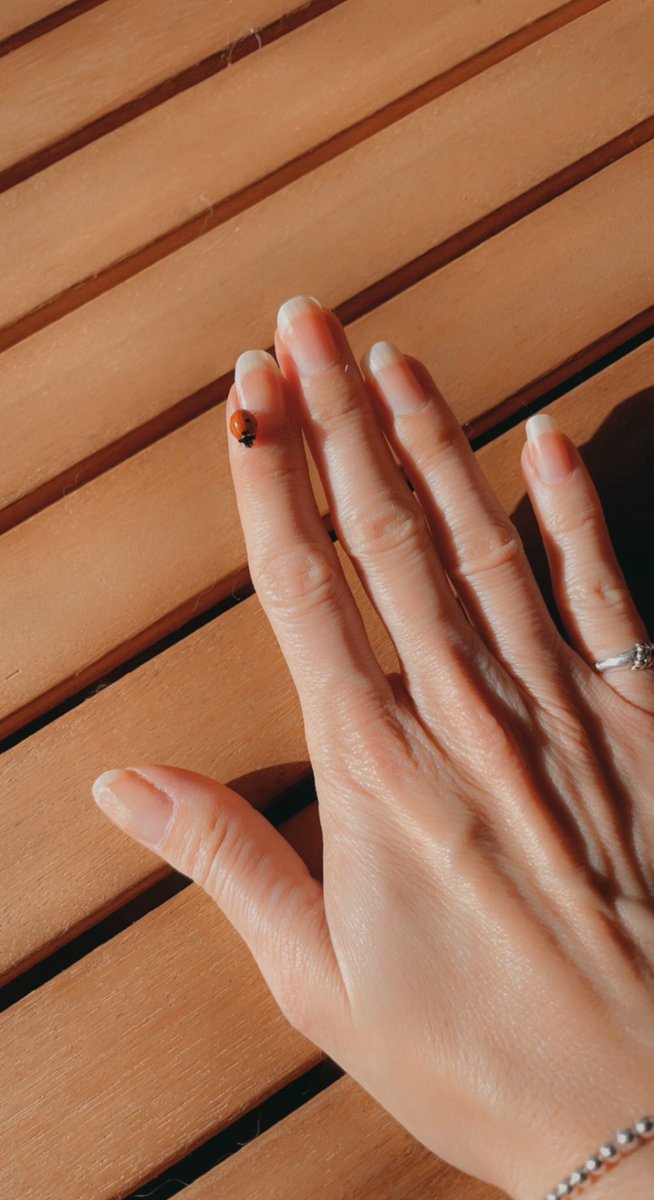 La Vecina Rubia tweet media