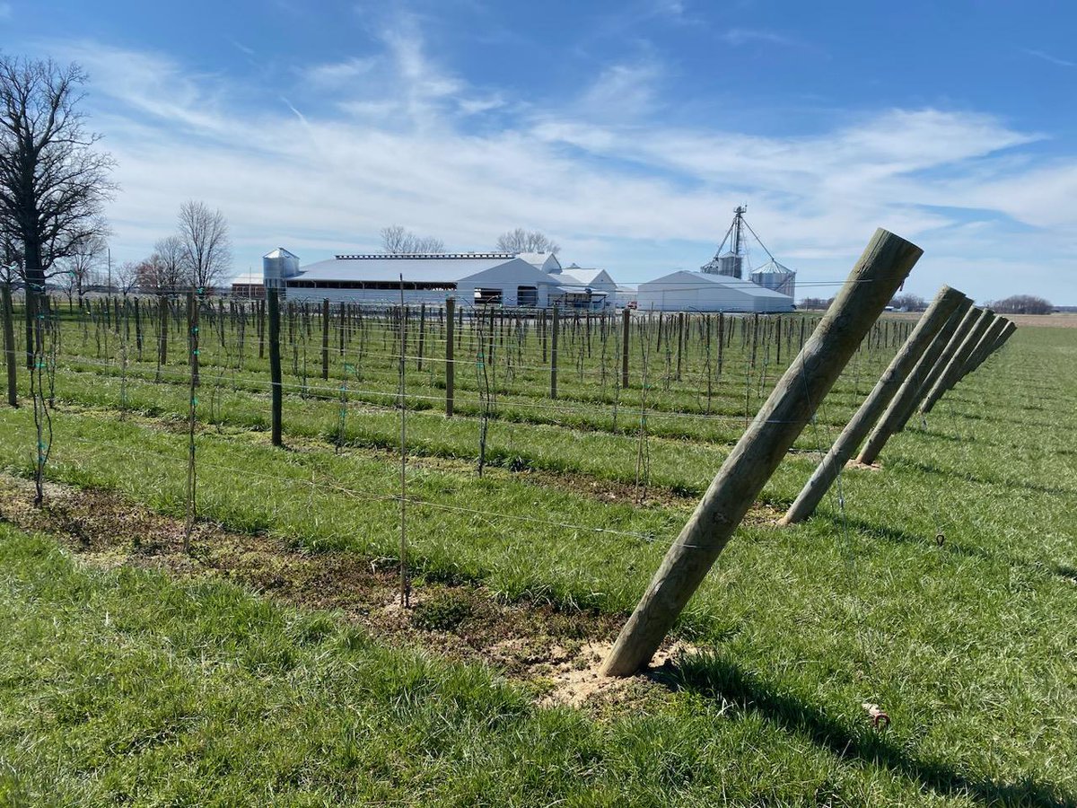 Matthew Elsass tweet media