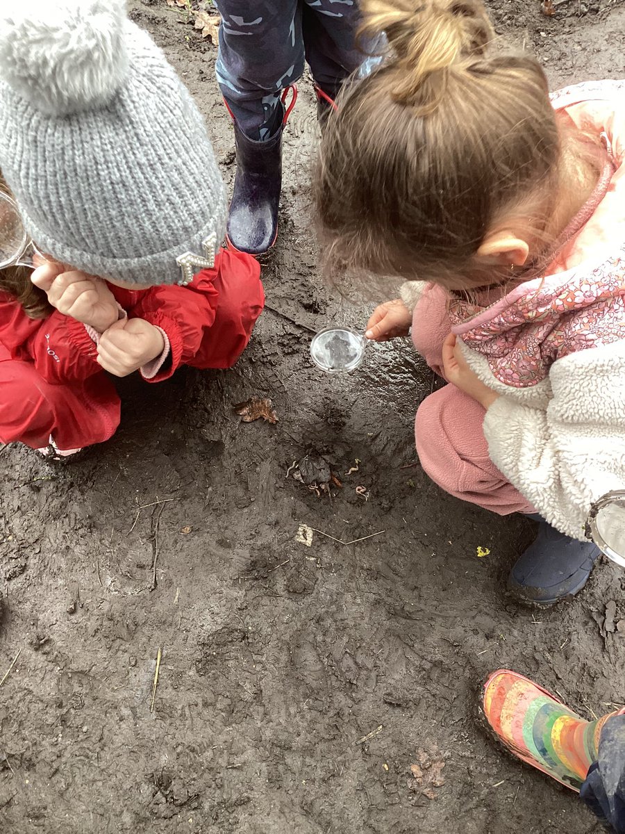 This week the Busy Bees enjoyed reading Superworm 🪱 The children had lots of fun looking for worms at forest school 🌳🌿🌱🐝