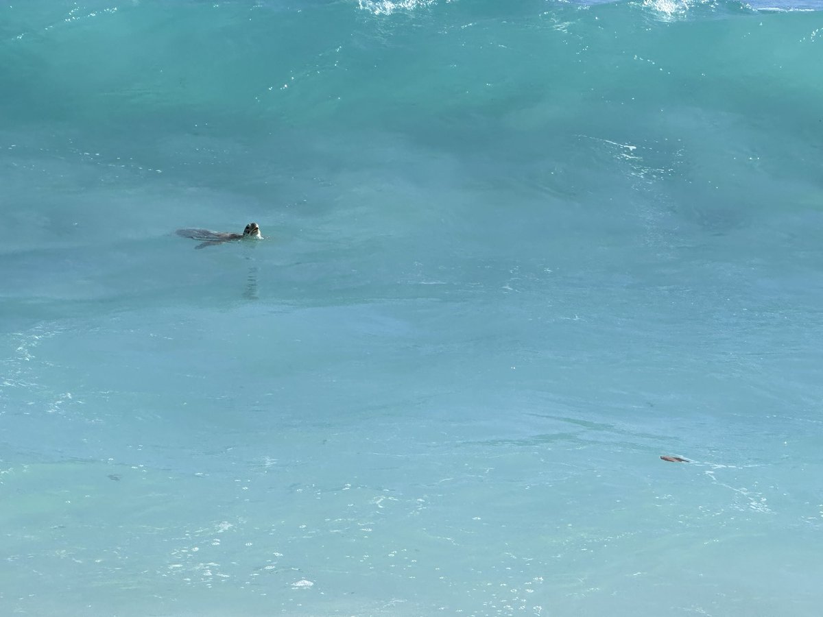 Eliz_CollSport's tweet image. 📸🇧🇧