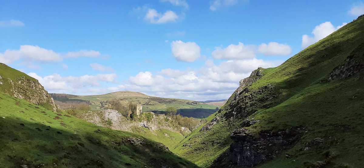 Dr. Candice Majewski 💙 tweet media