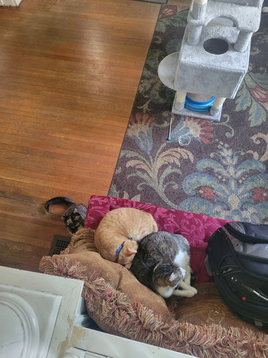 TrevorGayworth's tweet photo. My daughter just found her boyfriend cuddling with another girl. Teenage heartbreak is so difficult. #OneStrongGirl #MamaBear https://t.co/6yxGp8rRtf