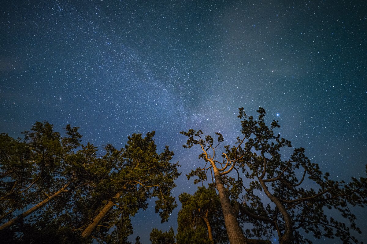 Herefordshire Starlit Stroll: More To Explore During Your Stargazing Trip Download the Stargazer's Guide here: visitherefordshire.co.uk/trip-ideas/our… Photo by Alex Treadway ©️Cynefin Retreats #visitherefordshire #herefordshirecountybid #stargazing #StargazingGuide