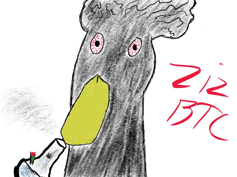 zizri ゎ tweet media