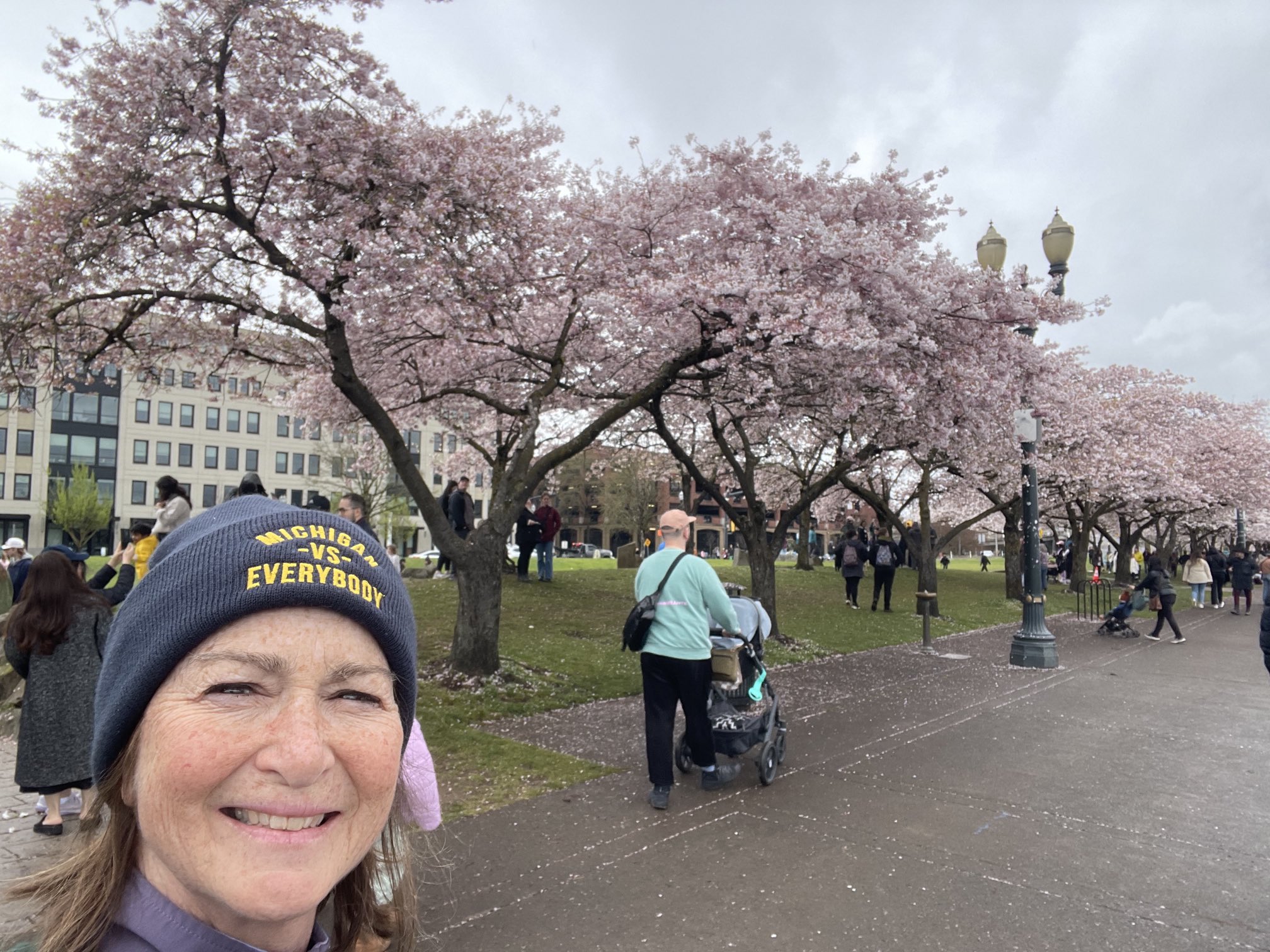 Barb McQuade on X: Festival atmosphere among the cherry blossoms along the  river in Portland.  / X