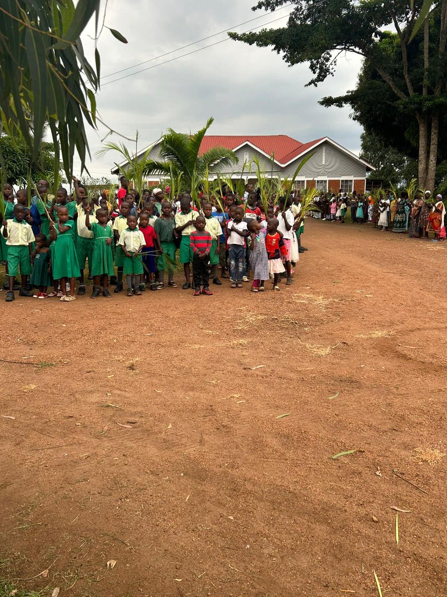 St Joseph's Rush tweet media