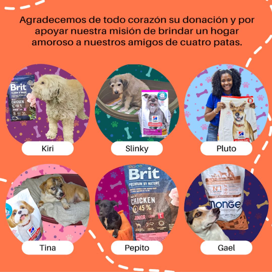 incondic_peru's tweet photo. Gracias #Petlink por los donativos que recibimos en abril y octubre del 2023, así como el de febrero de este año. Estamos muy agradecidas por tomarnos en cuenta para ayudar a los rescatados del grupo.
#dona #apadrina #alimentobalanceado https://t.co/N9jQdYjB4H