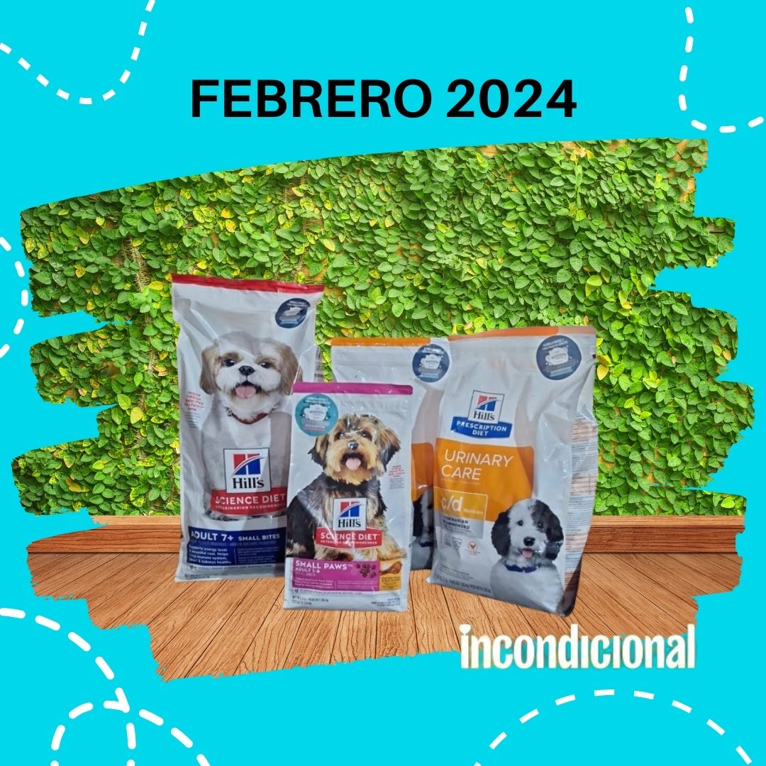 incondic_peru's tweet photo. Gracias #Petlink por los donativos que recibimos en abril y octubre del 2023, así como el de febrero de este año. Estamos muy agradecidas por tomarnos en cuenta para ayudar a los rescatados del grupo.
#dona #apadrina #alimentobalanceado https://t.co/N9jQdYjB4H