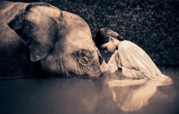 💜COMPASSION, LOVE &amp; EMPATHY💜
Compassion: the constant act of giving oneself to others

Empathy: that deep conscious awareness that can come w/out words

Love is Compassion, the Beauty in Empathy &amp; Grace in Forgiveness

#SundayThoughts #SundayMotivation #ThinkBIGSundayWithMarsha