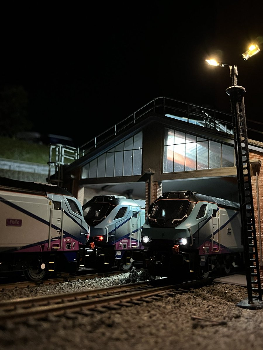 GwinearLane's tweet image. The Big cats are sleeping ………

#TwitterModelTrainShow