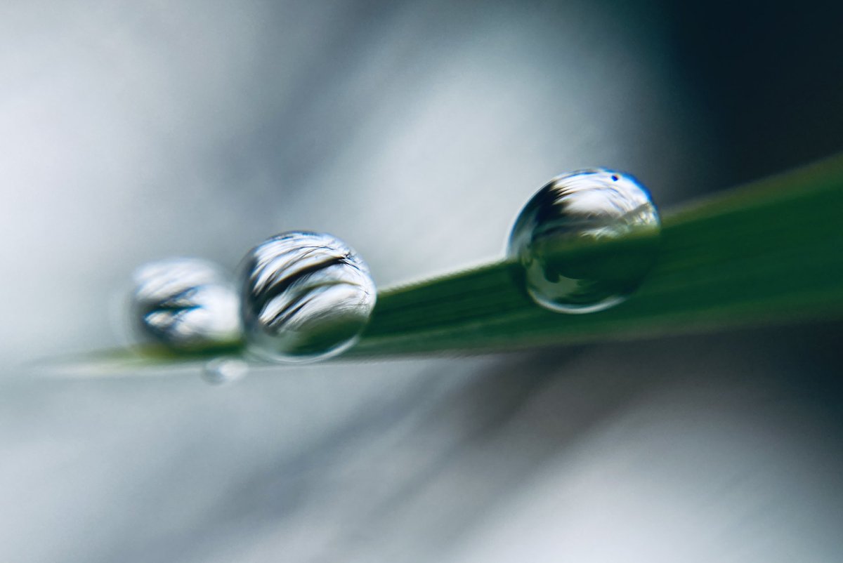 Raindrops and reflections.