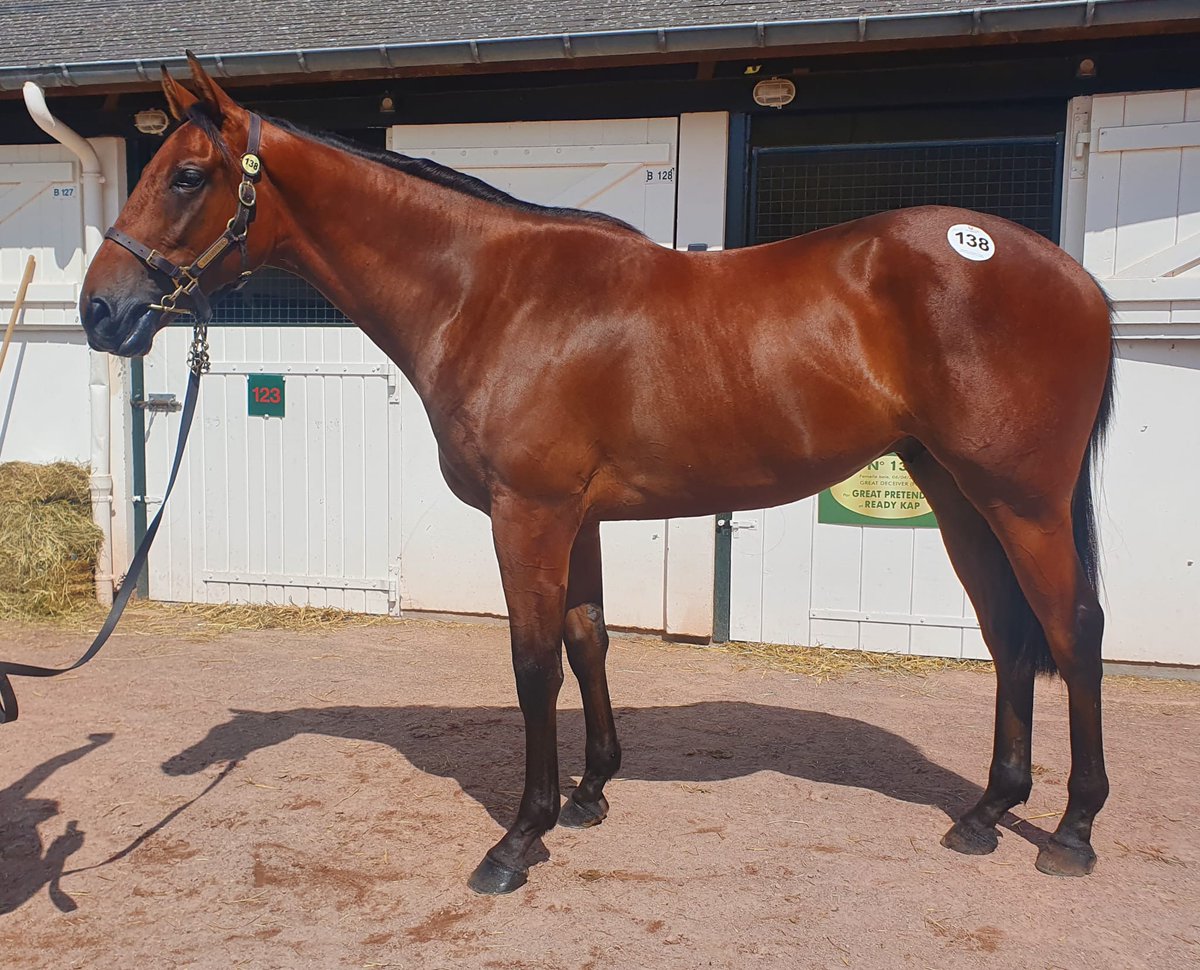 The key is not to buy a perfect horse but to find a real racehorse: Shuttle Diplomacy bought at @infoarqana for <a href="/SeanTiernan2/">Sean Tiernan</a> wins easy for <a href="/MooneyCiaran/">ciaran mooney</a> trained by <a href="/TomCoop77377049/">Tom Cooper</a> . Congrats to all! racingpost.com/results/188/li…