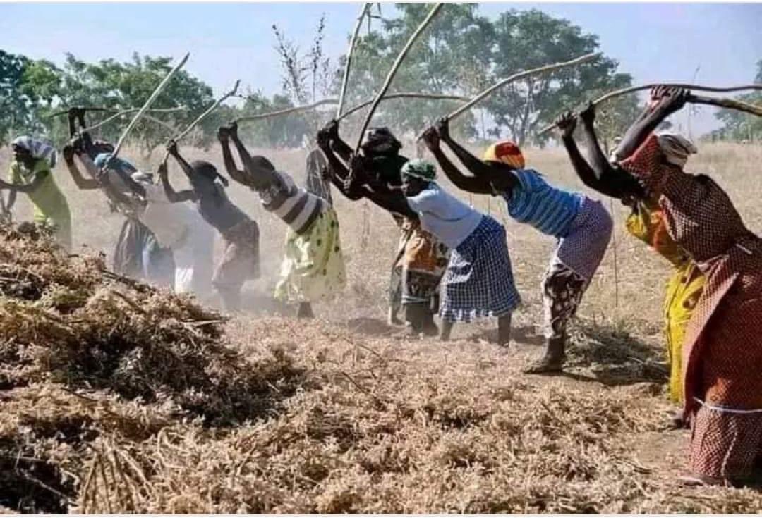 😎 #SunuElection2024