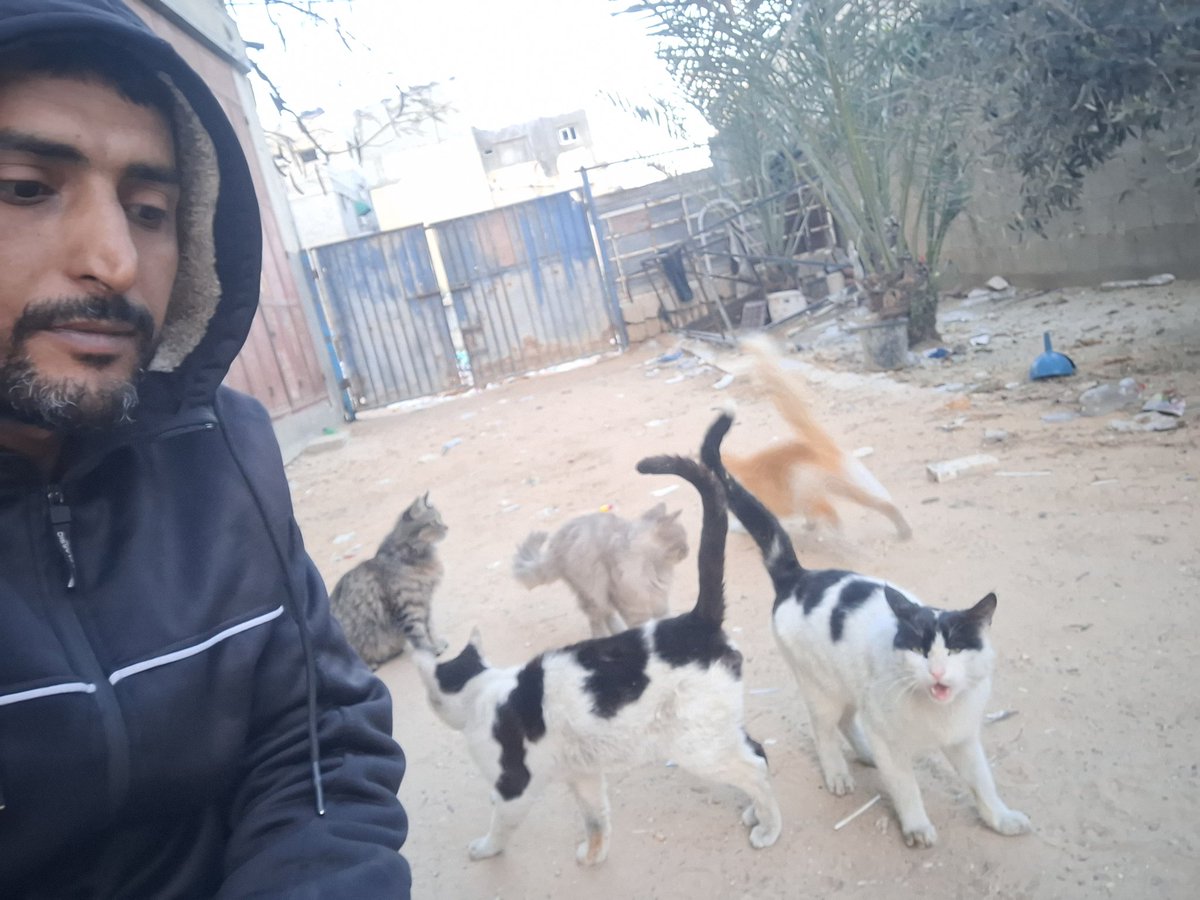 🐱😔🐱🙏🐾🐱🆘️paypal.com/paypalme/feedc…🙏🐾🆘️🚨🐱🚨🙏😔