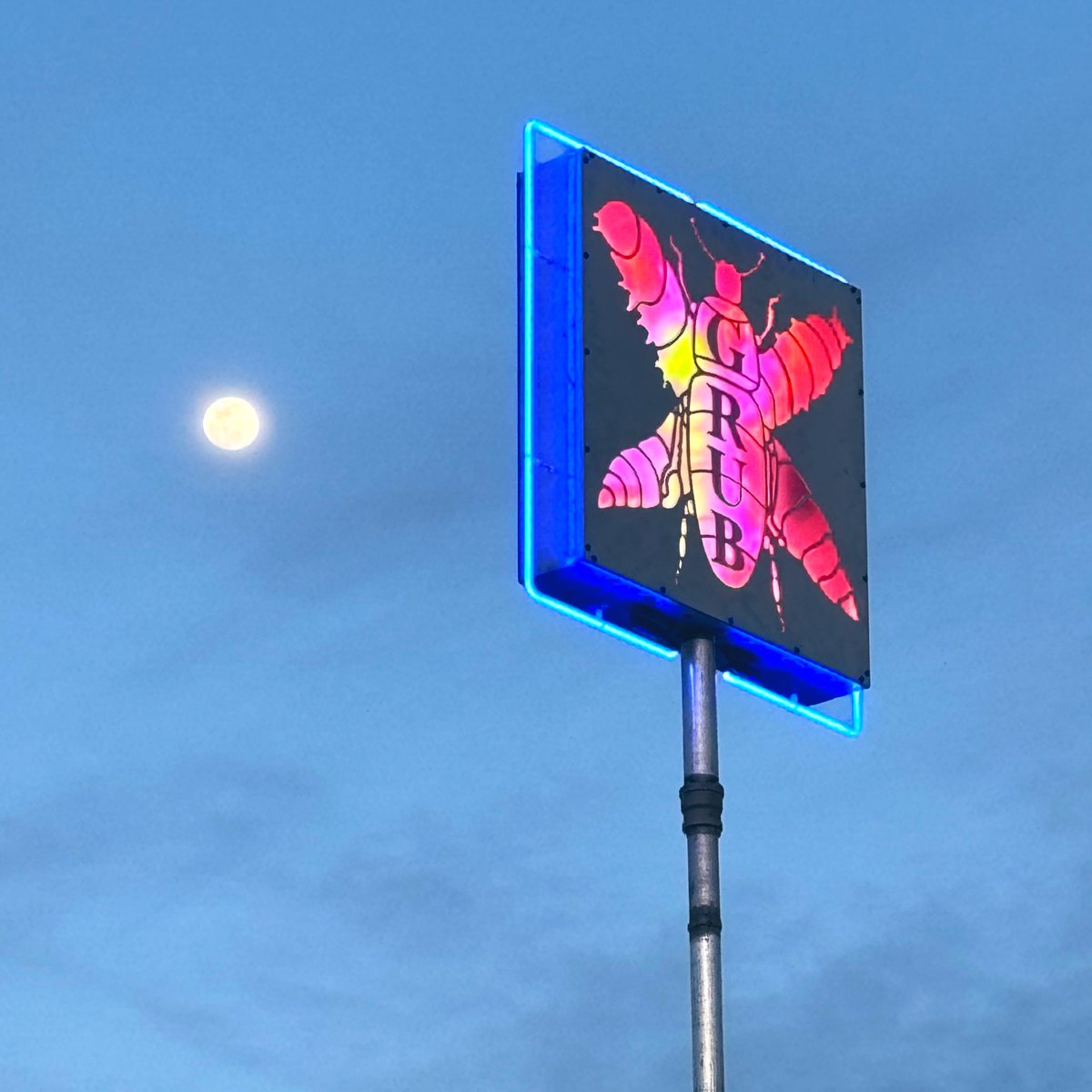 bwsaari's tweet image. It’s wild that the best, most gourmet food we ate all weekend was made from bugs #GRUB #BombayBeachBiennale