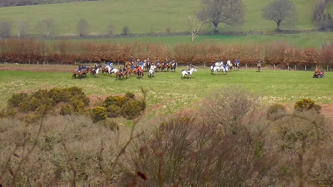 Sat 23rd March. Devon & Somerset Staghounds. Ashwick Estate. We joined other groups to sabotage the horrible stag hunt. Hundreds of scummers were enjoying their day out wanting to kill wildlife. The huntsman targeted one stag who kept low and stayed safe. No kills today.