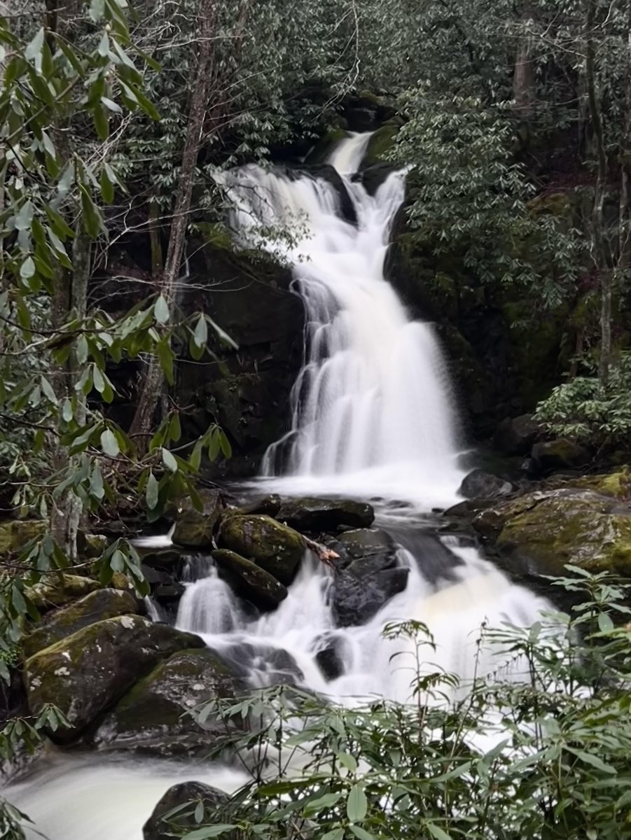 Looking to get away from the crowds? Check out Big Creek, an area of the park near Cosby. Walk the first two miles of Big Creek Trail to reach Mouse Creek Falls, pictured above. The campground and picnic area open on March 29, but the trails are available year-round!