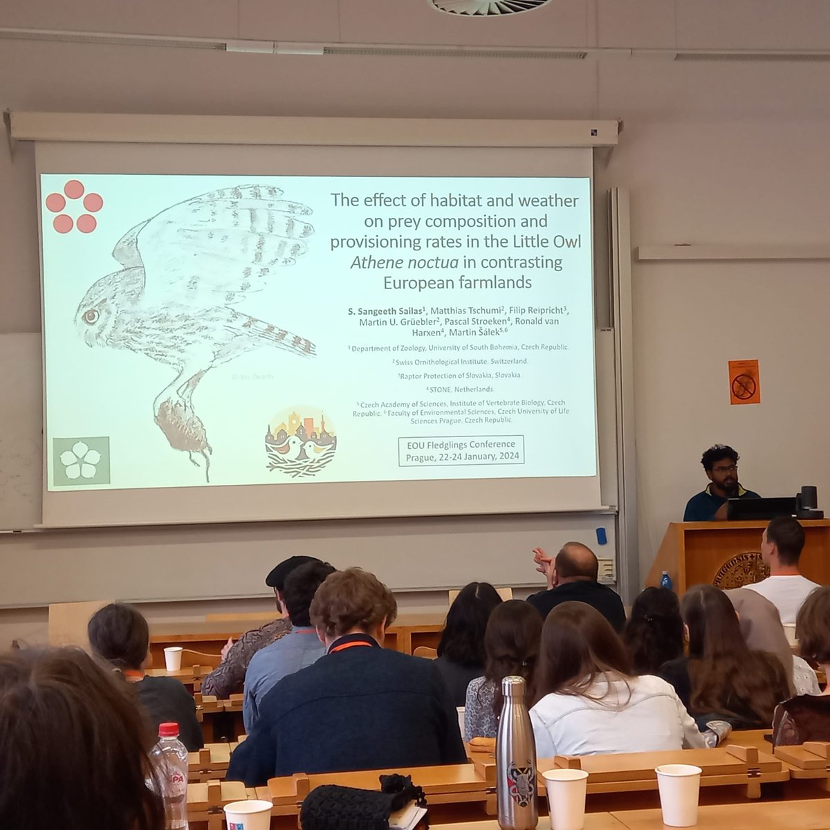 Thought it was stressful to attend and present at a conference in the middle of field season, I had a great time at the <a href="/FM_EOU_2024/">EOU Fledglings Meeting 2024</a>, meeting fellow ornithologists and presenting our work on Little Owl provisioning rates 🦉🐣🐛🪲🪱🐦‍⬛ #EOUFledglings2024