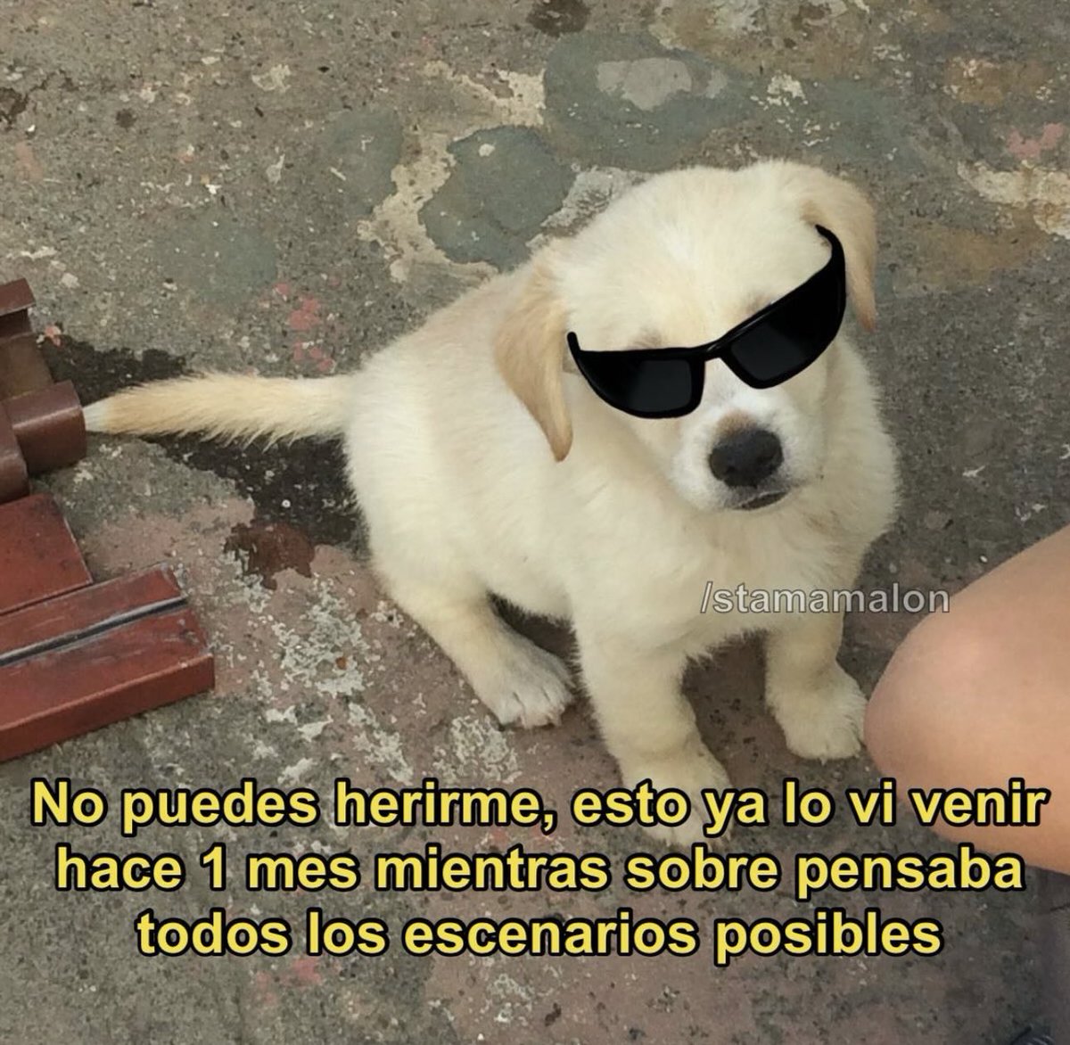 piña sin pizza (@skereunpesado) on Twitter photo 