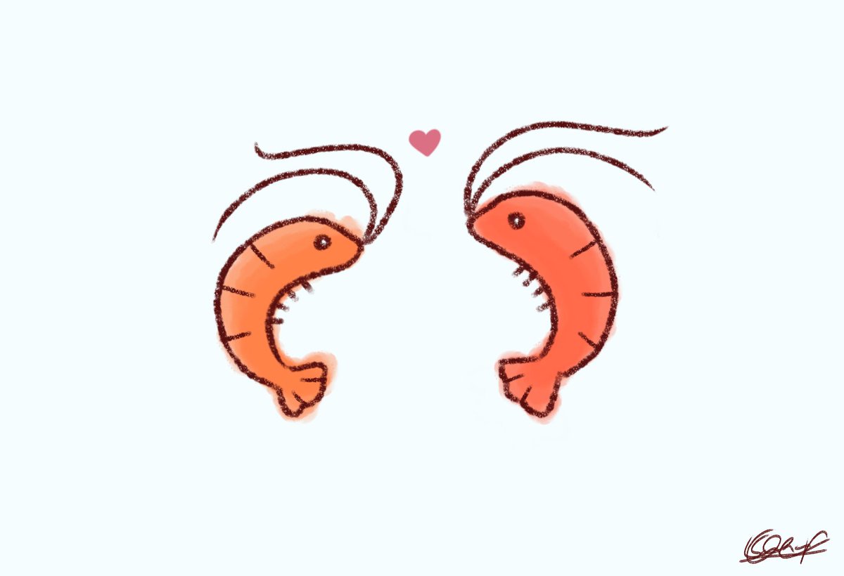 SailaraNR's tweet photo. @TheShrimpJuice https://t.co/spEOXSaP35