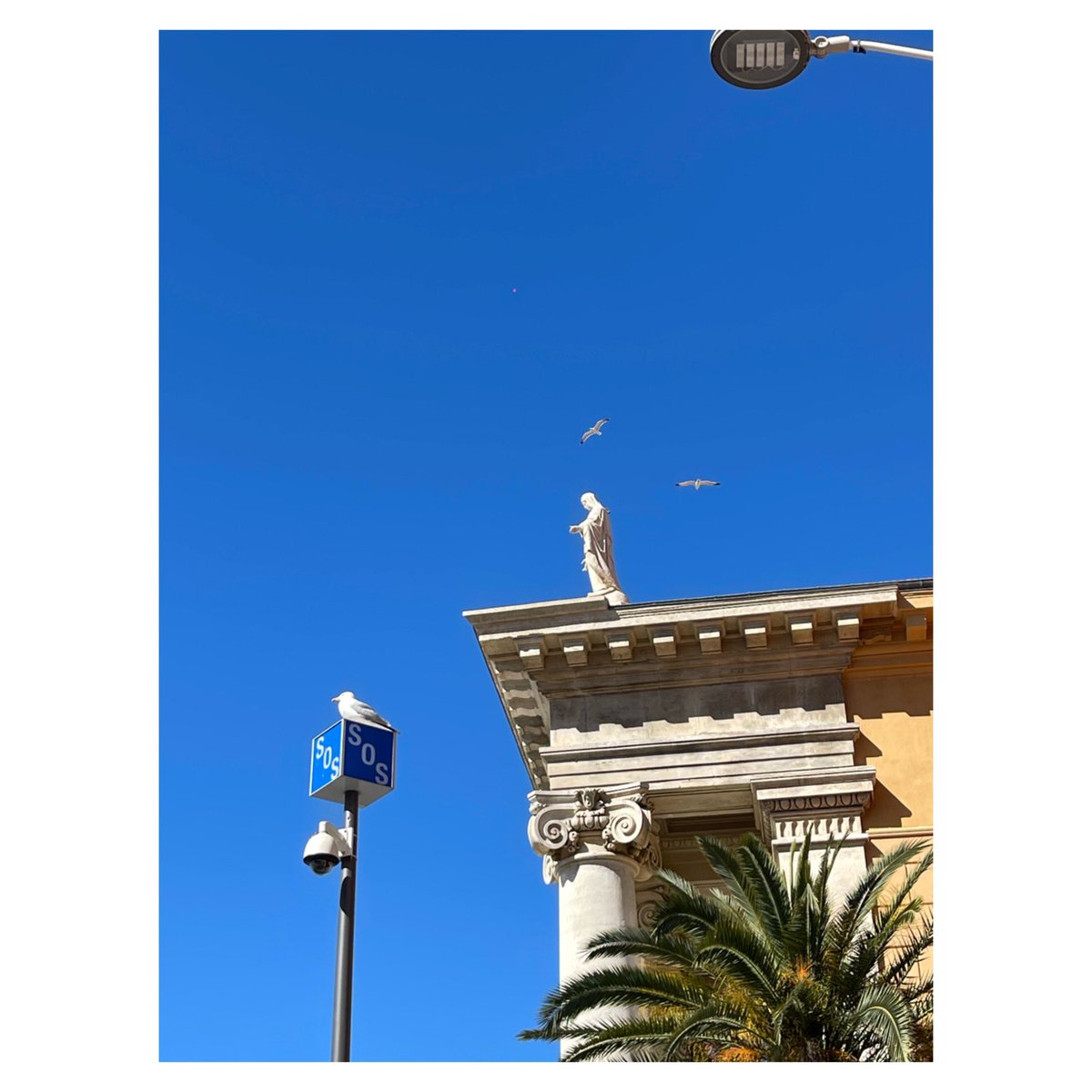 Nissa 

#nissa #nissabella #niceexplore #nicecotedazur #provencealpescotedazur #igersfrance #igersnice #architecture #architecturephotography #skyphotography #villedenice #ilovenice #wipplay #grainedephotographe #legoutdesfollowers