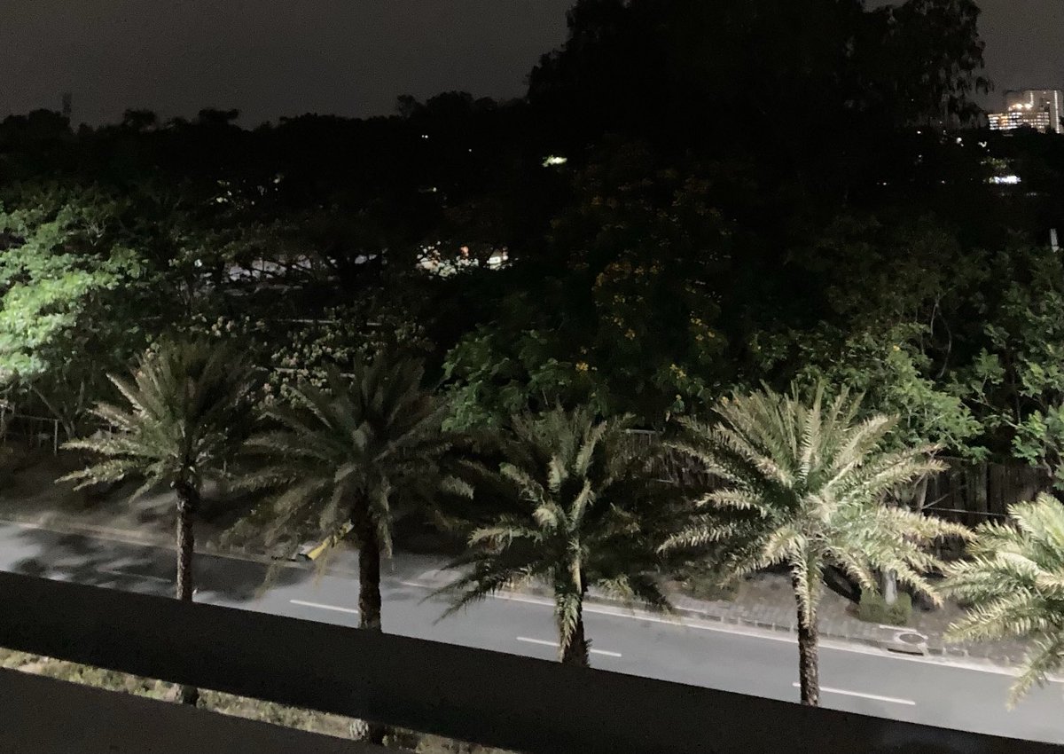 aoih1na's tweet photo. Calm palm trees when I look out fr my window. ๐ด๐ด I wish you all the same X circle. Good morning โ๏ธ #CalmMonday https://t.co/8v6UWFykPl