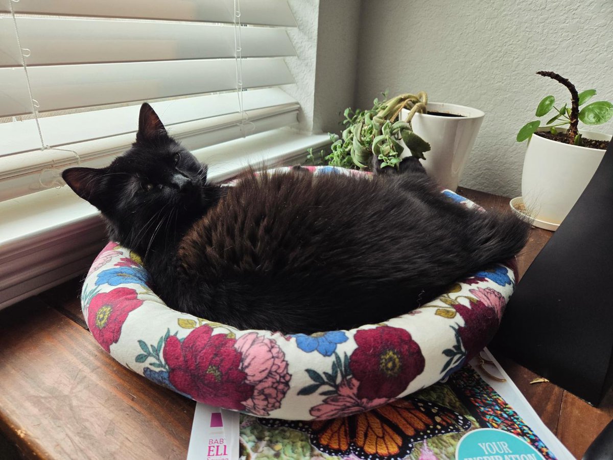 Norma & Zelda tweet media