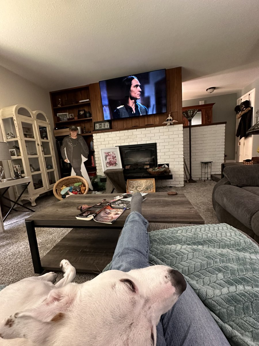 We’ve been preparing to go to the park, but man this is heaven! #QueenoftheSouth #Rosietherescue 🥰