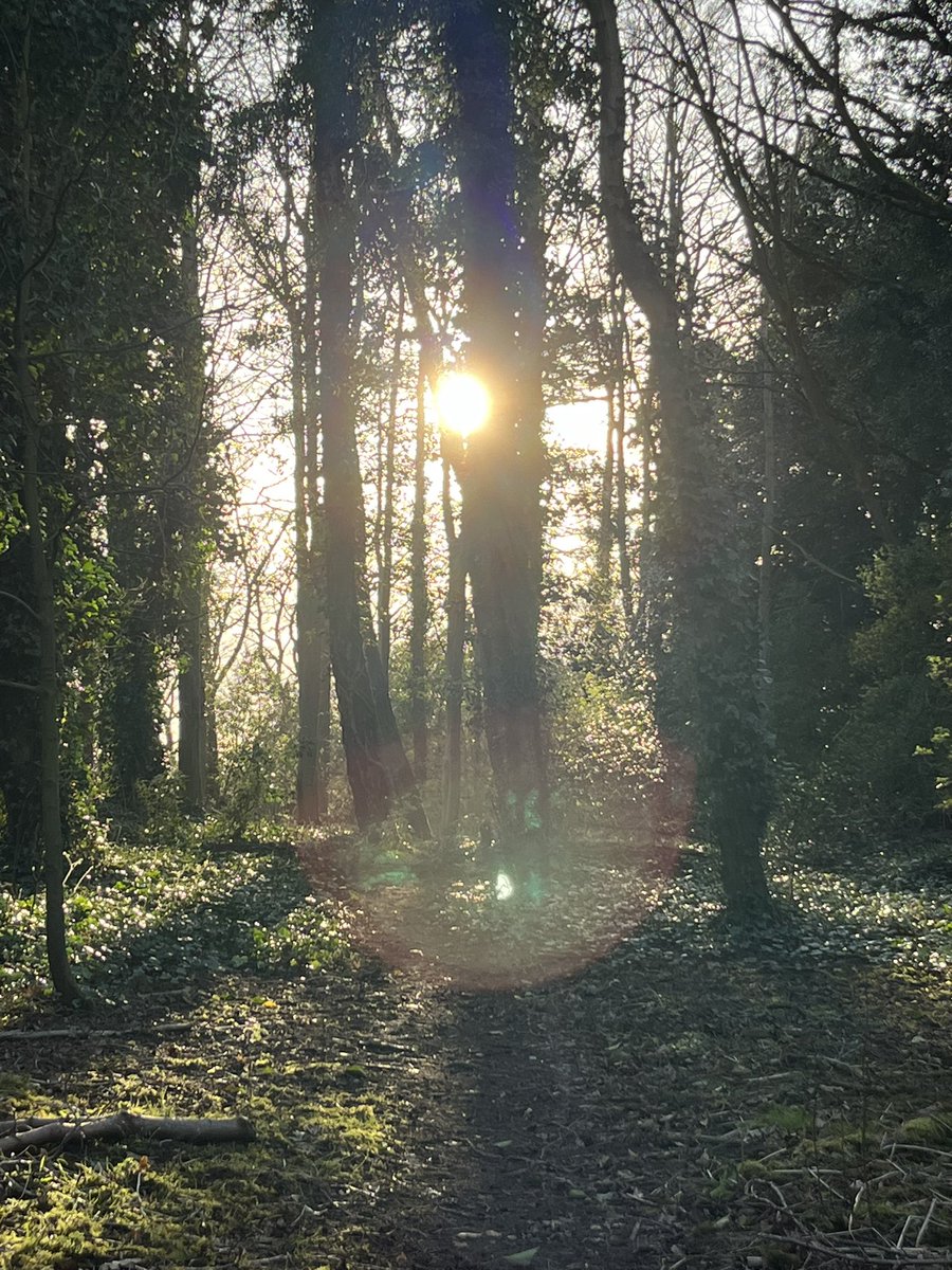 mp_alderson's tweet photo. My afternoon walk gave me a Comedian Harmonists’ Ohrwurm: Veronika, der Lenz ist da! Spring seems to have sprung. https://t.co/tVgcQdMDJm