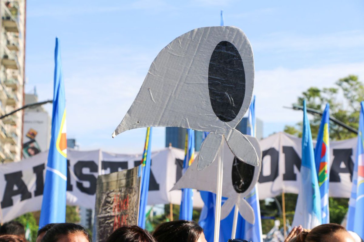 MisionesCampora's tweet photo. • — 30.000 razones para caminar 🇦🇷

Misiones dando presente en la marcha del 24 de marzo.

Porque otros caminaron antes, nosotros caminamos para que otros caminen. https://t.co/eJguAAGyRl
