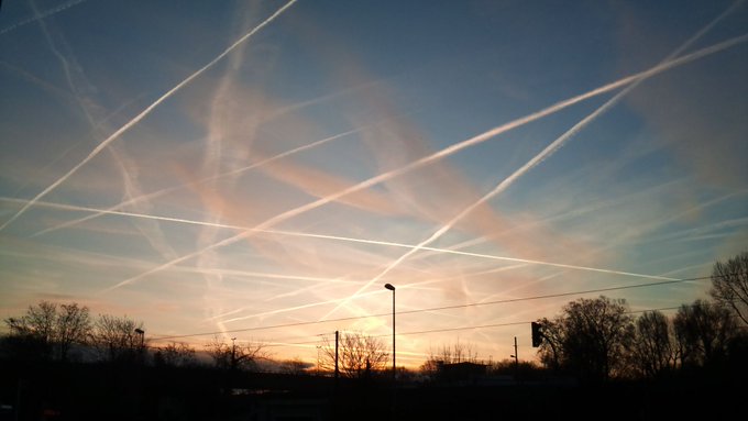 dejanirasilveir's tweet photo. 🚨🇺🇸El Senado de Tennessee APRUEBA un Proyecto de ley que prohíbe los chemtrails 👏🥳

El Proyecto de Ley prohibiría la "inyección, liberación o dispersión intencional, por cualquier medio, de sustancias químicas, compuestos químicos, sustancias o aparatos dentro de las fronteras de este estado en la atmósfera con el propósito expreso de afectar la temperatura, el clima o la intensidad de la luz del sol."

NO SON VAPOR DE AGUA... OTRA TEORÍA DE LA CONSPIRACIÓN CONFIRMADA JUDICIALMENTE ⚔️
👇
https://t.co/aADxcIof2F