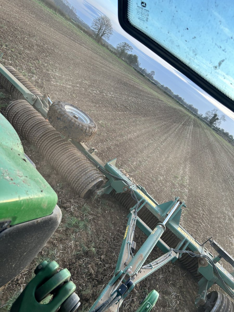 Drilled Friday, rolled Sunday 🌾 5mm yesterday morning, very wet underneath but crisped up nicely on top 🤌🏻