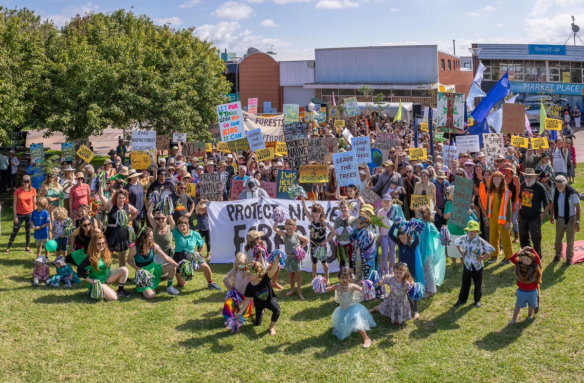 March in March for Forests. In Bega 600 forest demand an end to native forest logging #FightForForests