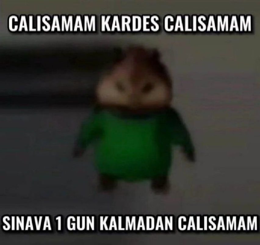 Bahar donemi vizelerini max sikleme seviyem(son gun de calisilmadi)