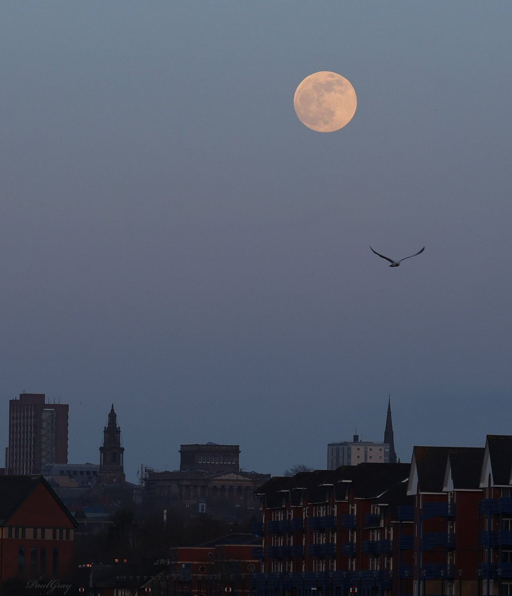 #wormmoon #preston #lancashire @blogpreston @men_preston