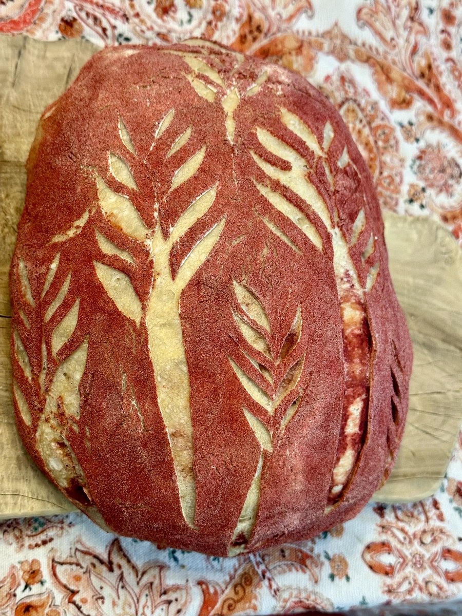 Beet powder for a splash of color on tonight’s sourdough bread… feeling like spring 🌸🌺🌷