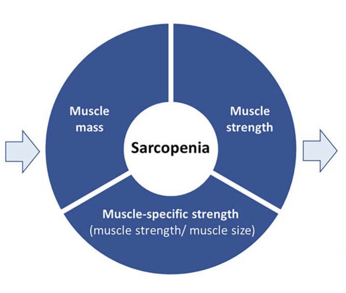 nutripalacios's tweet photo. Definición conceptual de sarcopenia: Consenso Delphi de GLIS 2024.
Se aceptaron como componentes de la sarcopenia:
- Masa muscular
- Fuerza muscular 
- Fuerza muscular específica
El rendimiento físico deteriorado se aceptó como desenlace más que como componente de la sarcopenia. https://t.co/jMTCVGDyQL