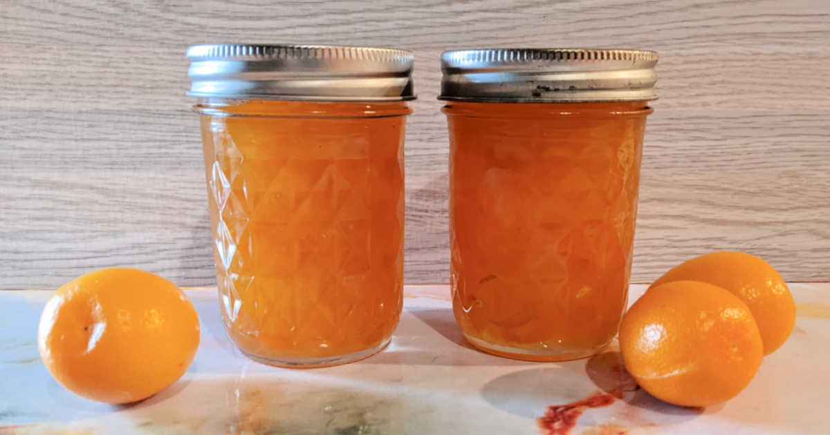Sunshine in a Jar: Easy Kumquat Jam Recipe with No Pectin mamalikestocook.com/kumquat-jam/