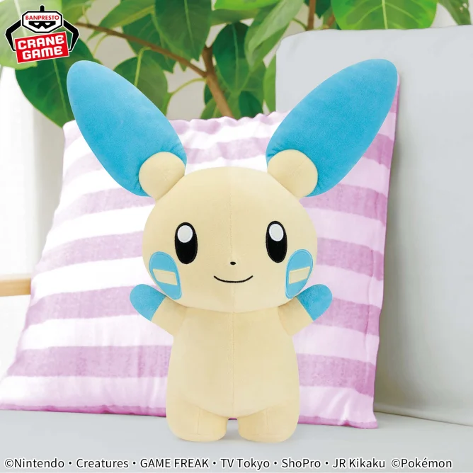 ポケモン最新グッズ情報 on X: ポケモン最新グッズ情報 on X: