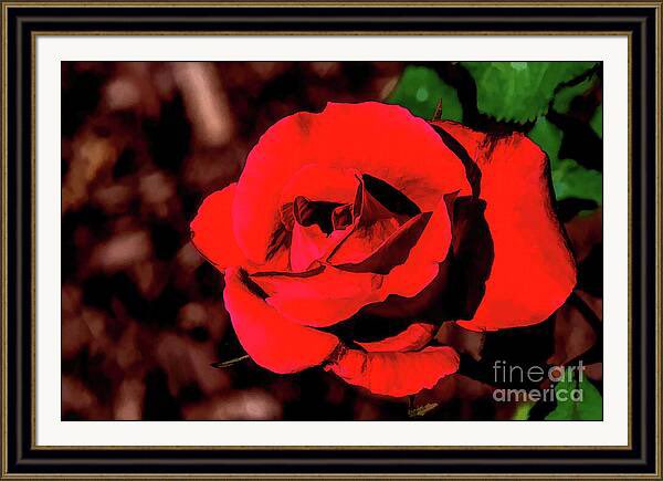 Red Tyler Rose in Oil Framed Print
#buyart #roses #red #photography #travelingtx #tyler #therosegarden #dmsfineart #dianamarysharpton #fineartamerica #fineart4sale #walldecor #prints4sale #Apparelwart   

Artist Deck: dianamary-sharpton.pixels.com/featured/red-t…