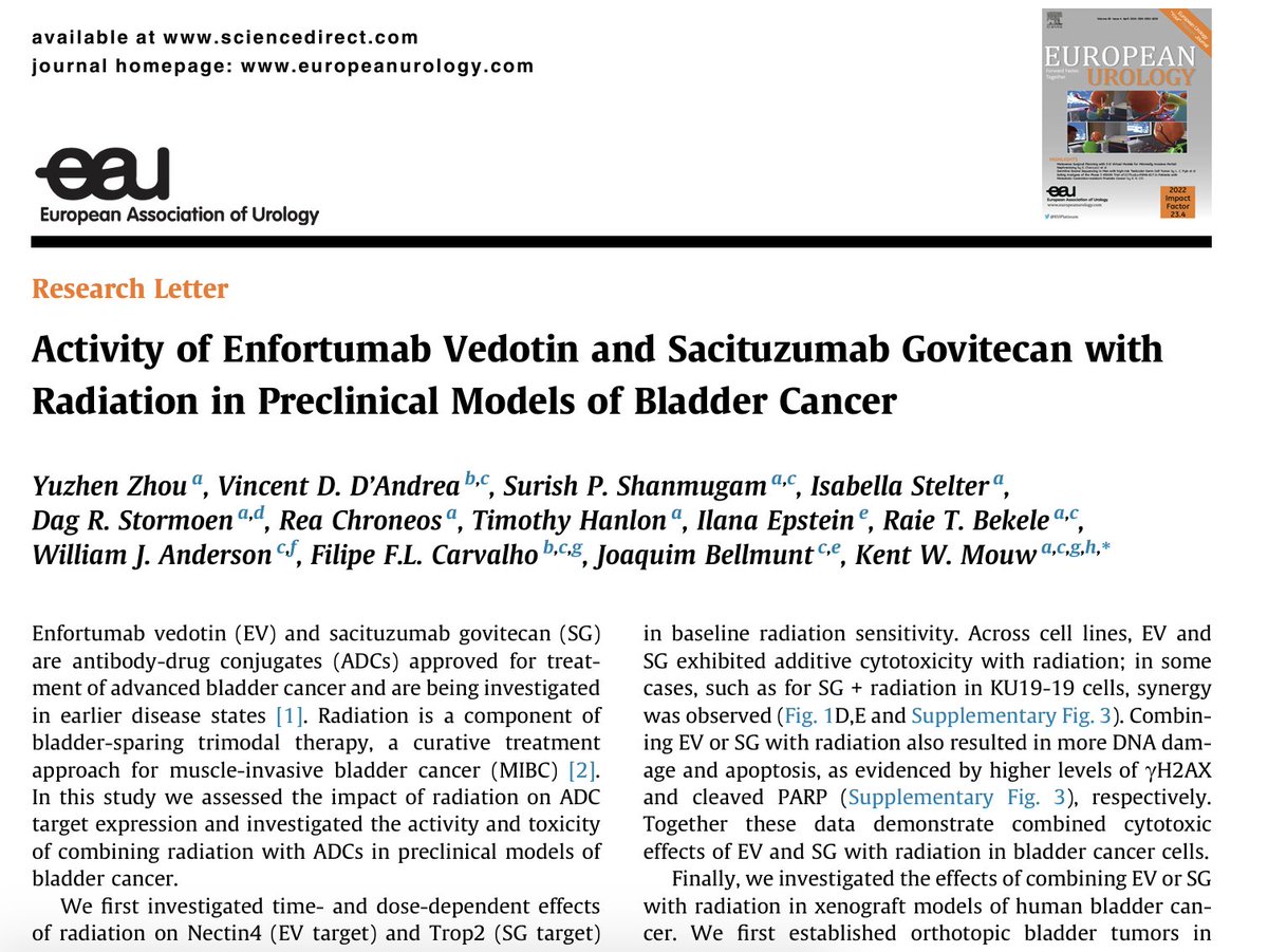 🩷 fantastic publication by @mouwlab showing EV and SG combination w/XRT significantly ⬇️tumor size compared to using any agent alone in 🐭.. We are immensely proud at @EUplatinum to publish pioneering bench work that holds the potential to advance patient outcomes @CathyJPierce