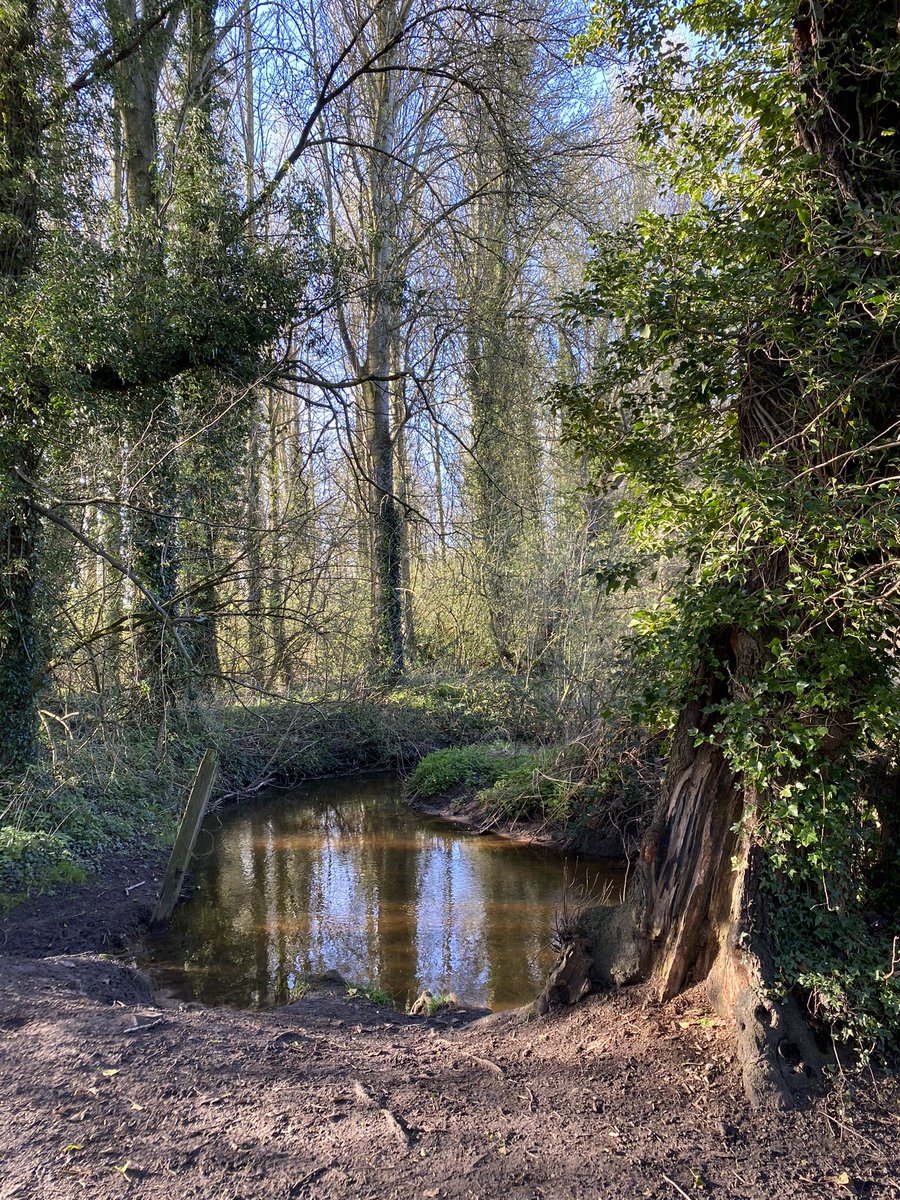 'It was one of those March days when the sun shines hot and the wind blows cold, when it is summer in the light and winter in the shade.' – Charles Dickens. Walking Wonderful Weston on a Cerulean Blue Spring Day @socheshire #Spring #Sunshine