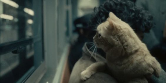 TheCinesthetic's tweet photo. inside llewyn davis (2013)  dir. ethan coen, joel coen https://t.co/ypmASOLZlz