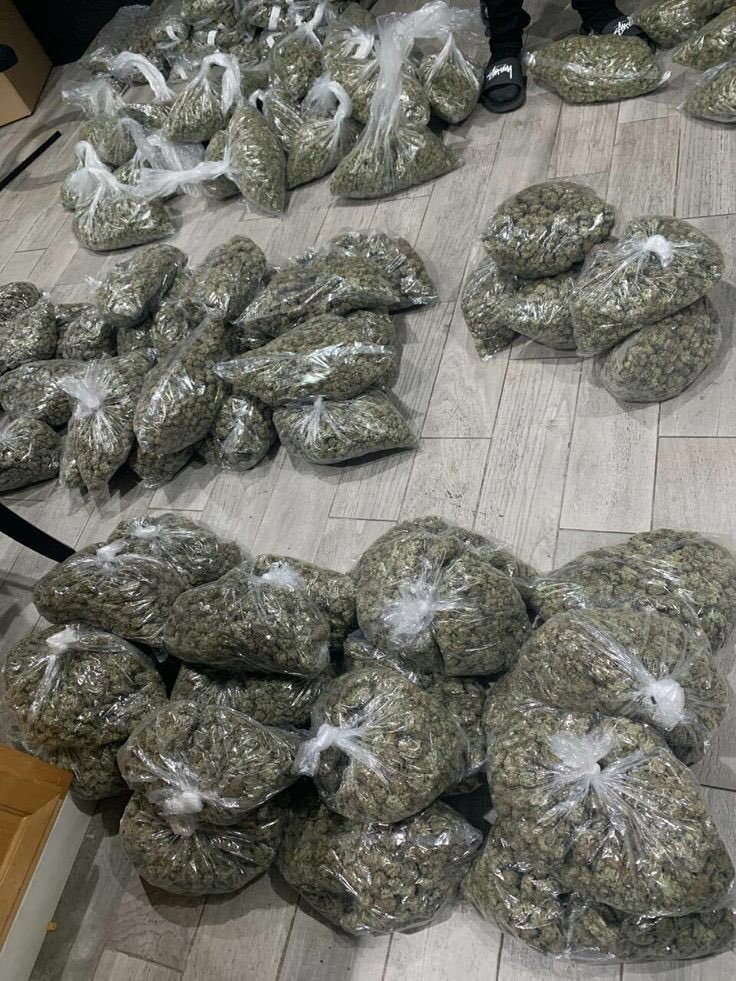ZeddimaA's tweet photo. Just drop down 🔥 keep bringing up deals

#cannabis #daily #bhfyp #dank #organic #community #cannabis #smoke #cannabiscommunity #marijuana #high #stoner #highlife #cbd #thc #weedporn #kush #hightimes #highsociety #weedstagram #maryjane https://t.co/srYH04T0bn