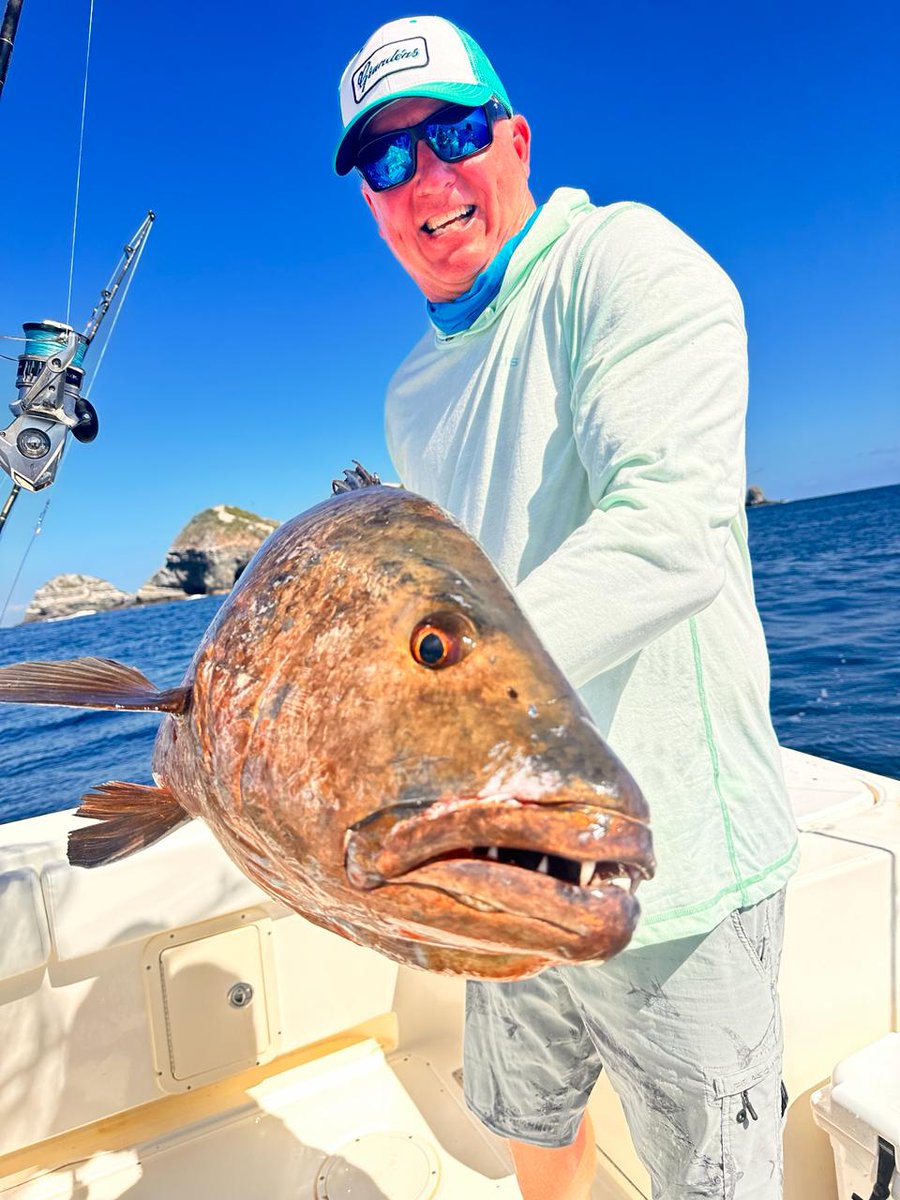 FishPanama's tweet photo. Impressive Cubera Snapper for Jeff from New Jersey!!!
https://t.co/DUfBnyp8Og https://t.co/4f8c5upFt7
