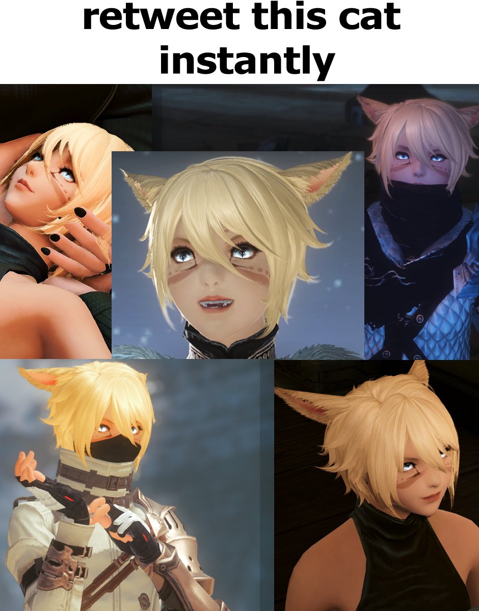 crowposting (@crowposting) on Twitter photo 